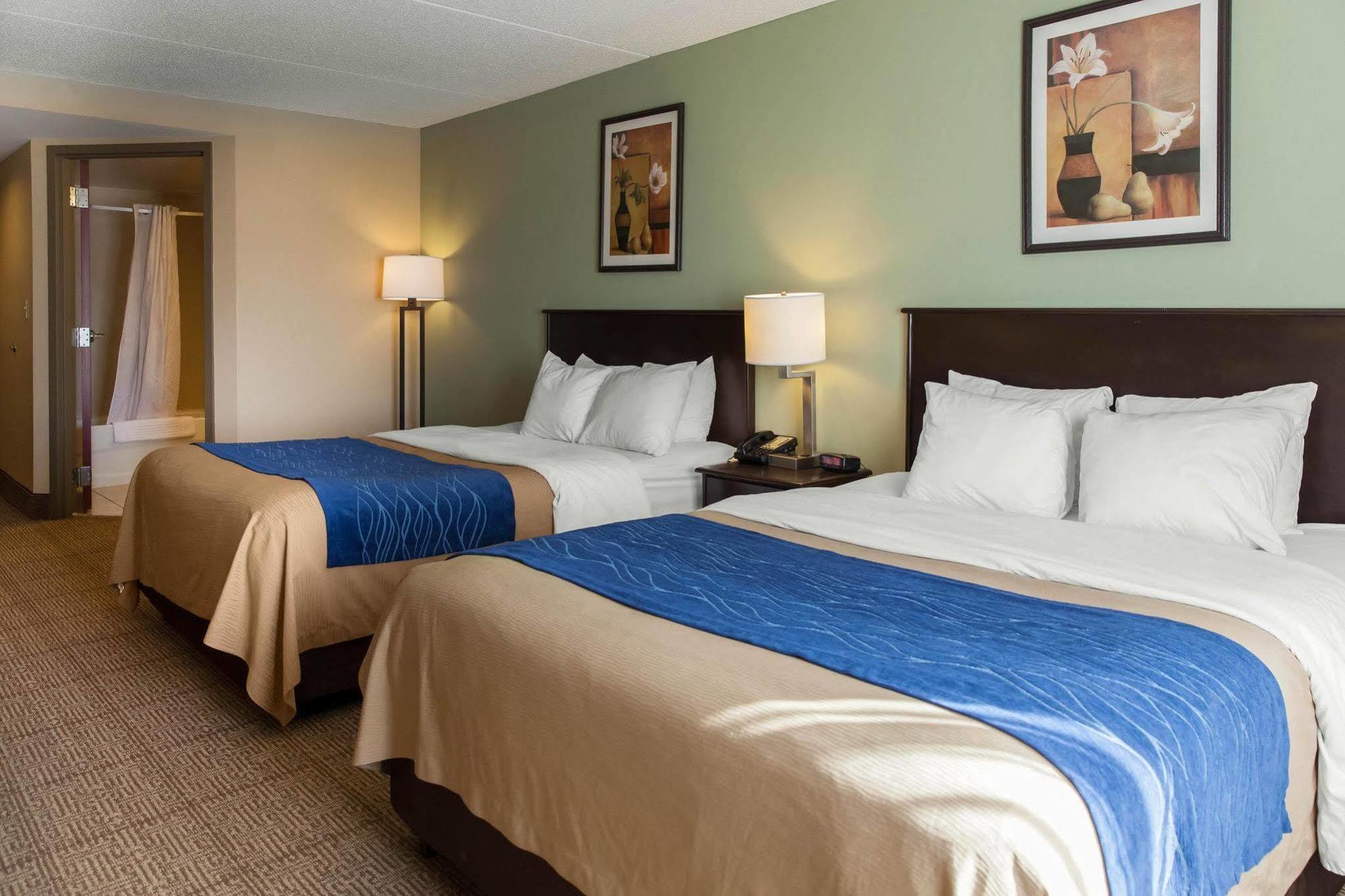 Comfort Inn Near Quantico Main Gate North Dumfries Eksteriør billede